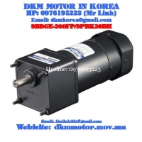 Brake Motor DKM (200W □90mm)
