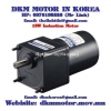Induction Motor DKM (15W □70mm) - anh 1