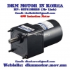 Induction Motor DKM (40W □90mm) - anh 1