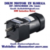 Induction Motor DKM (90W □90mm) - anh 1