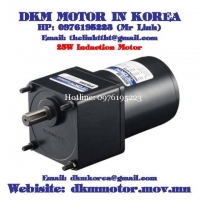 Induction Motor DKM (25W □80mm)