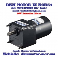 Induction Motor DKM (40W □90mm)