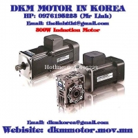 Induction Motor DKM (300W □104mm)