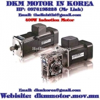 Induction Motor DKM (400W □104mm)