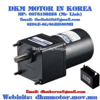Induction Motor DKM (6W □60mm)