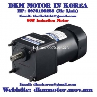 Induction Motor DKM (60W □90mm)