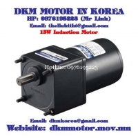 Induction Motor DKM (15W □80mm)