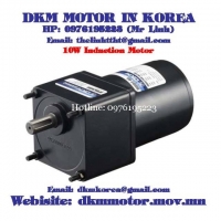 Induction Motor DKM (10W □70mm)