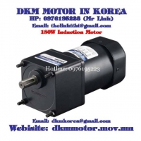 Induction Motor DKM (180W □90mm)