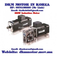 Induction Motor DKM (250W □104mm)