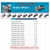 Catalogue DKM Brake (Output 6W đến 200W) - anh 1