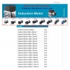 Catalogue DKM Induction (Output 6W đến 400W) - anh 1
