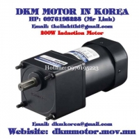 Induction Motor DKM (200W □90mm)