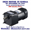 Induction Motor DKM (60W □90mm) - anh 1