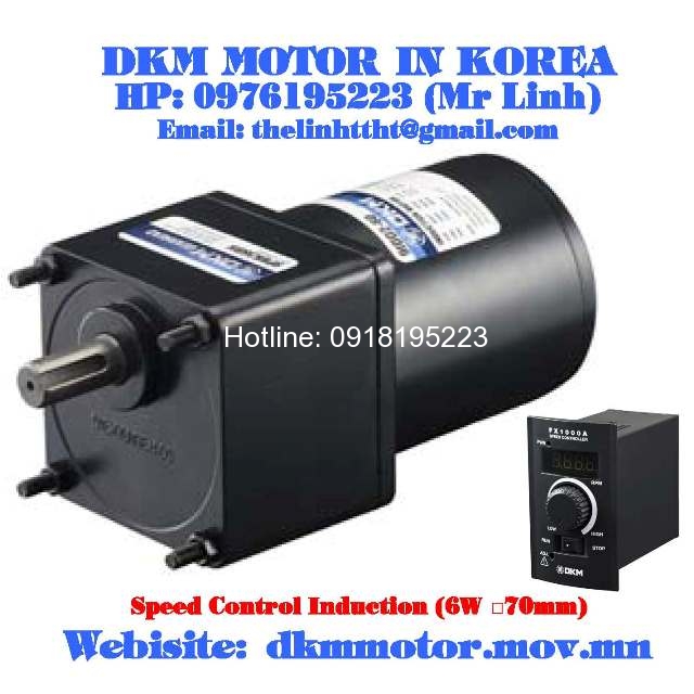 Speed Control Induction DKM Motor (6W □70mm)