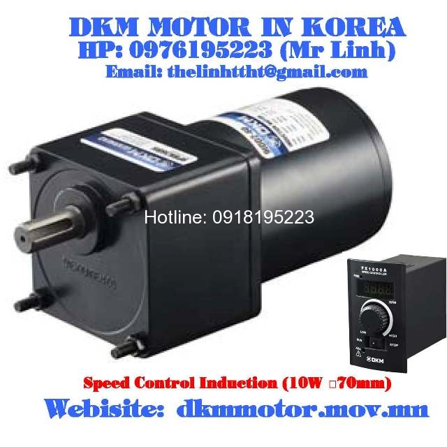 Speed Control Induction DKM Motor (10W □70mm)