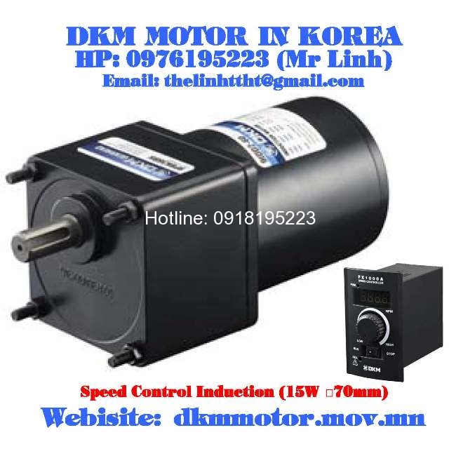 Speed Control Induction DKM Motor (15W □70mm)
