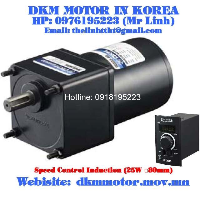 Speed Control Induction DKM Motor (25W □80mm)