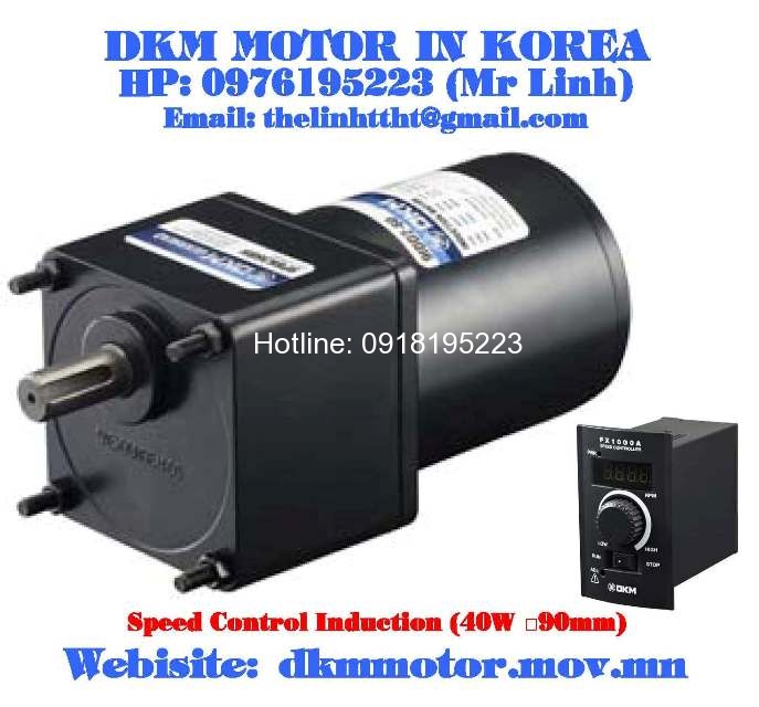 Speed Control Induction DKM Motor ( 40W □90mm)