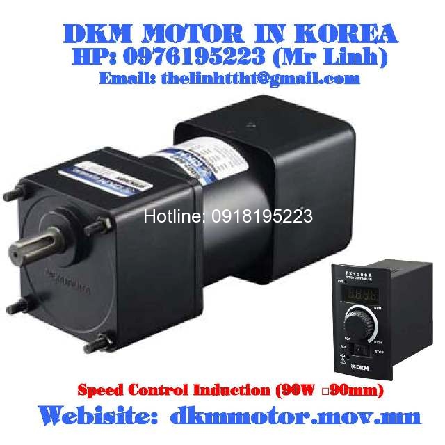Speed Control Induction DKM Motor (90W □90mm)