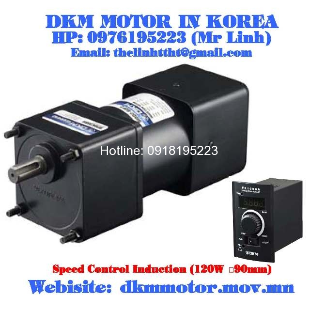 Speed Control Induction DKM Motor (120W □90mm)