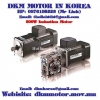Induction Motor DKM (300W □104mm) - anh 1