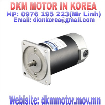 DC 12V (40W □80mm) DKM Motor