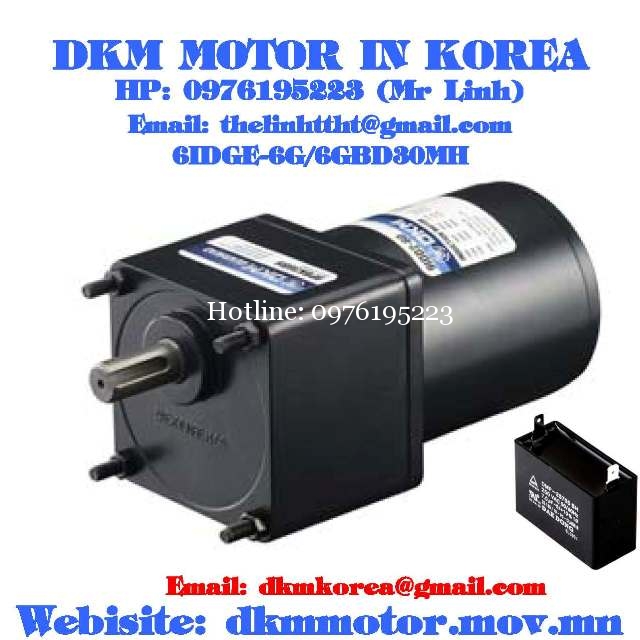 Induction Motor DKM (6W □60mm)