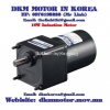 Induction Motor DKM (10W □70mm) - anh 1