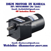 Induction Motor DKM (6W □70mm)