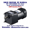 Induction Motor DKM (180W □90mm) - anh 1