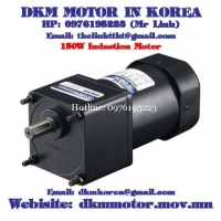 Induction Motor DKM (150W □90mm)