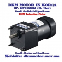 Induction Motor DKM (120W □90mm)