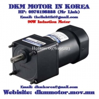 Induction Motor DKM (90W □90mm)