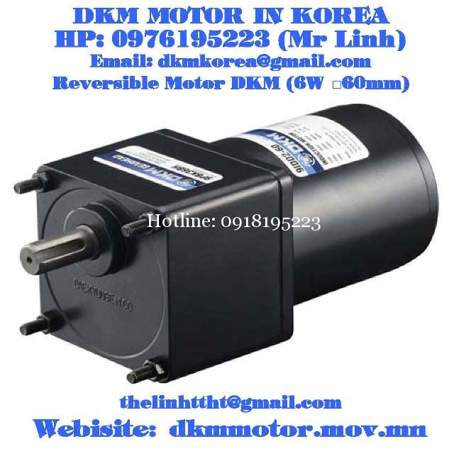 Reversible Motor DKM (6W □60mm)