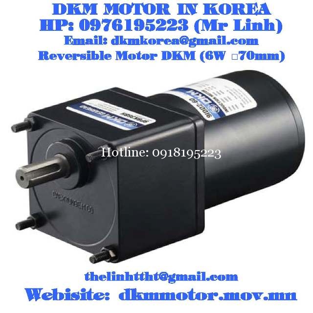Reversible Motor DKM (6W □70mm)