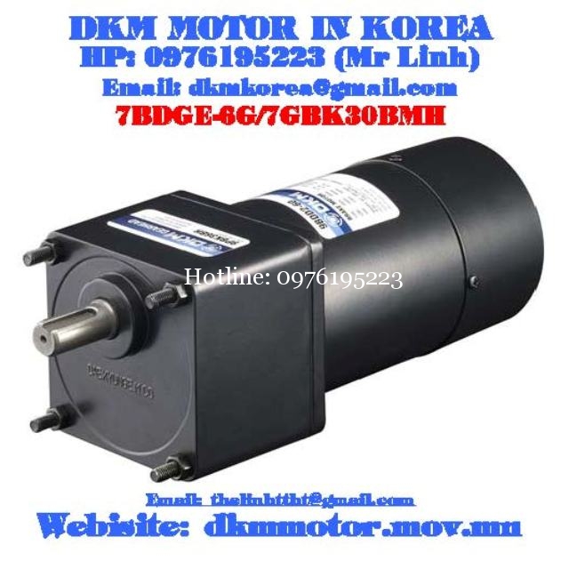 Brake Motor DKM (6W □70mm)