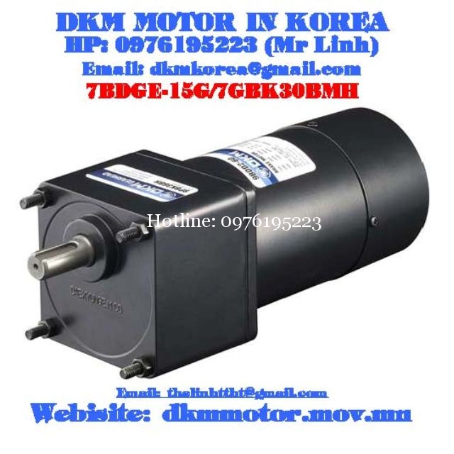 Brake Motor DKM (15W □70mm)