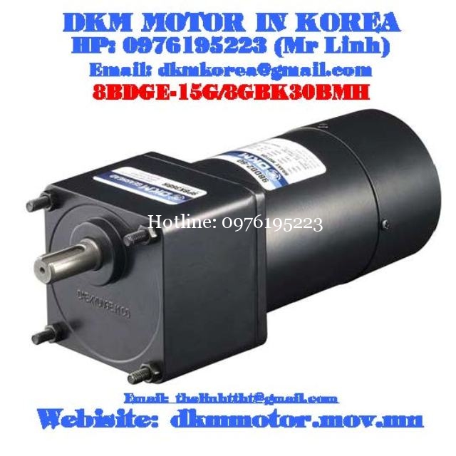 Brake Motor DKM (15W □80mm)