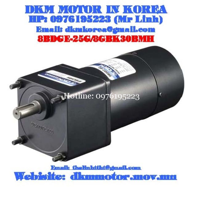 Brake Motor DKM (25W □80mm)