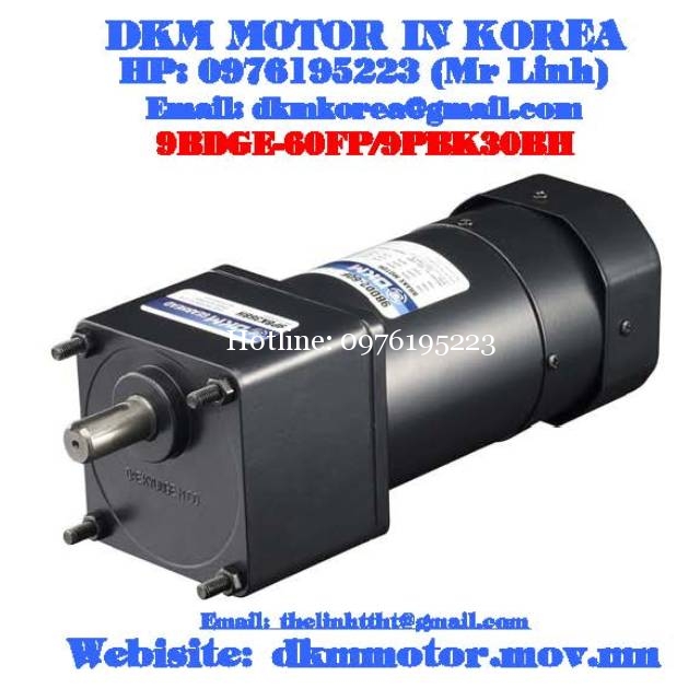 Brake Motor DKM (60W □90mm)
