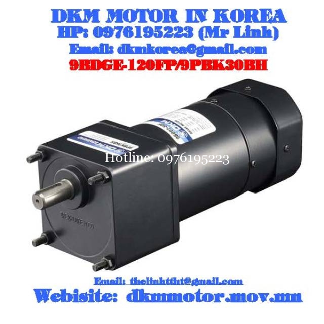 Brake Motor DKM (120W □90mm)
