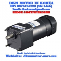 Brake Motor DKM (150W □90mm)