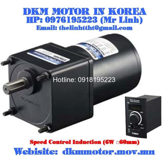 Speed Control Induction DKM Motor (6W □60mm)